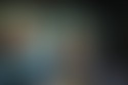 1331762562 kimch 661