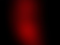 1345968798 theyre here 1 