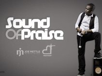 Joe mettle