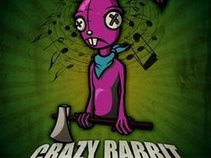 DJ PURPLE RABBIT