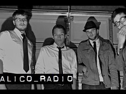 Image for Calico Radio