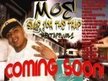 MOE of  GUTTA GAME ENT