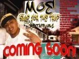 Image for MOE of  GUTTA GAME ENT