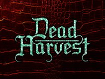Dead Harvest