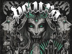 Image for PAURA
