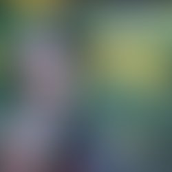 1446137747 frontcover