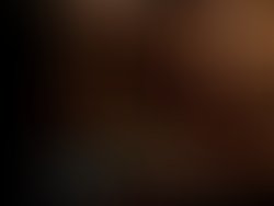 Profilbilde reverbnation