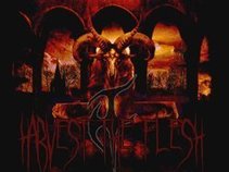 HARVEST THE FLESH
