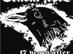 sendal jepit band