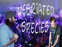 inebriated species