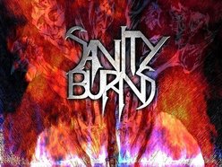 Image for SANITY BURNS