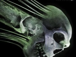 Image for ILLDISPOSED
