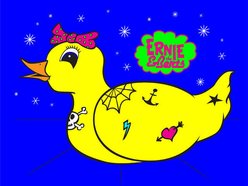 Image for Ernie and the Berts