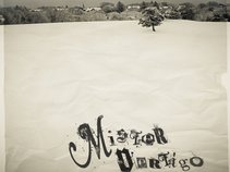 Mr. Vertigo