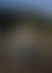 766fdd90bd0c6019941e777cee91f14c1b4d0b37