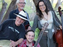 The Black Forest Society