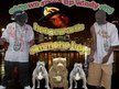 Simmons boy / go hard click
