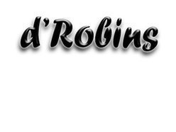 ReverbNation profile picture for @robins