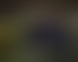 1432500260 intotheflood  mg 7701   version 2