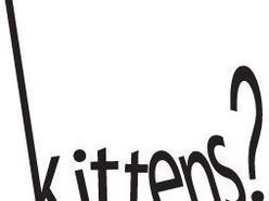 ReverbNation profile picture for @kittens