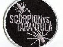 Scorpion vs. Tarantula