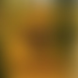 1445333019 a6252bbe129a062f70d842238a3a39780ac9cf9e