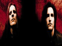 LOVE LIKE BLOOD