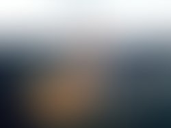 1458086239 artist 112777 1458086172