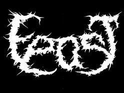 Image for Feast