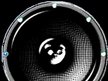 Dead Panda