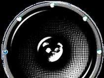 Dead Panda