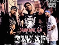 3'WaFi