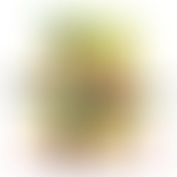 1369151354 c l anime