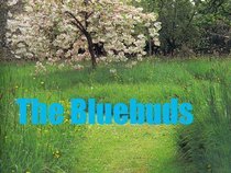 the bluebuds