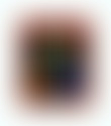 Geek the flux yine cover 001