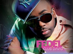 Image for Fedel