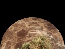 The Hood Cartel T.H.C