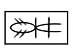 Image for OHAUS