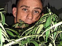 Da Budfather Mickey Brown