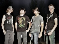 Image for Stray Kingdom