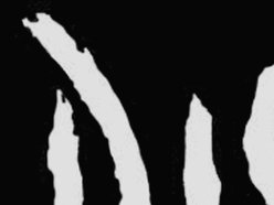 Image for DISEIM