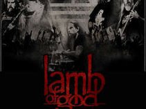 LAMB OF GOD