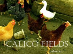 Image for Calico Fields