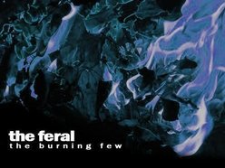 Image for The Feral