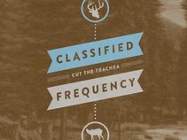 Classified Frequency