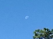 nate dawg productions