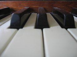 Image for gido