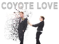 Coyote Love