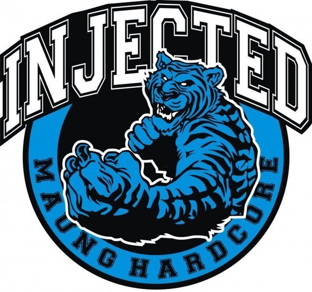 ReverbNation profile picture for @injected
