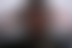 Img 6133
